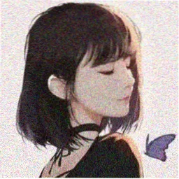 观众头像，昵称为航线观察员